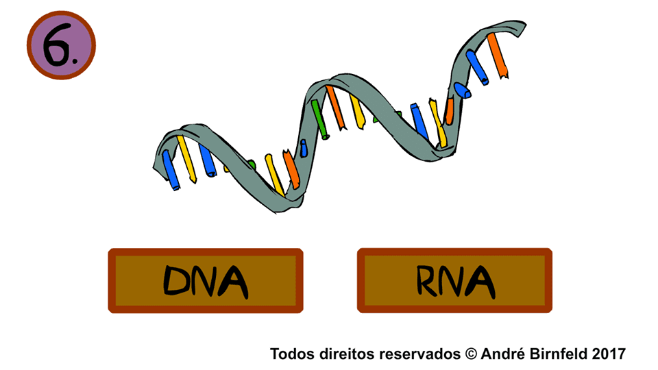 Gênio Quiz Science - Gênio Quiz