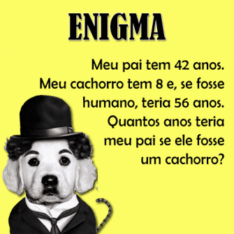 Resposta Meu pai tem 42 anos. Meu cachorro tem 8 e, se fosse humano…