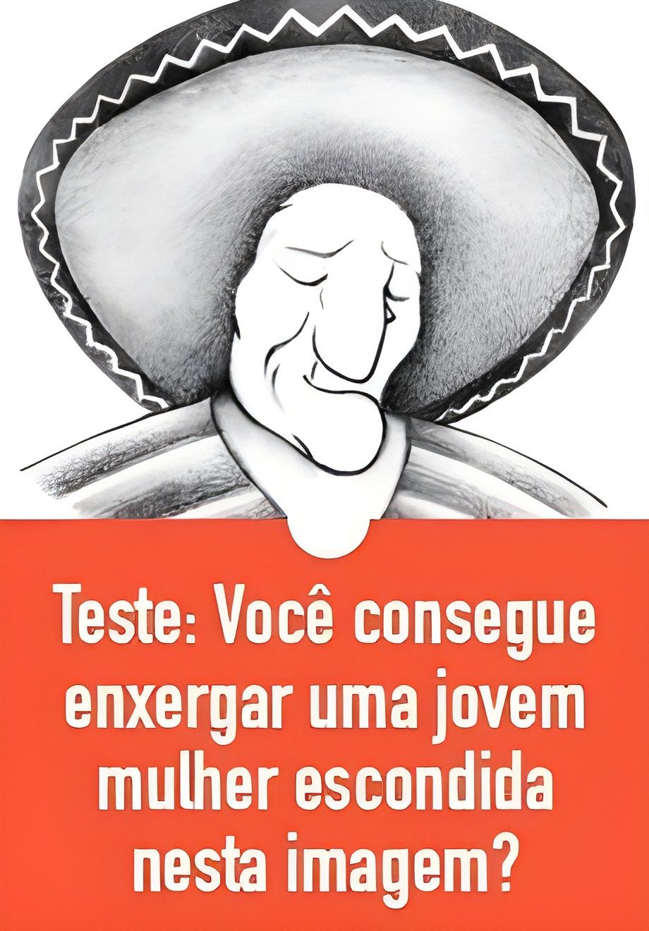 Resposta você consegue enxergar uma jovem mulher escondida nesta imagem?
