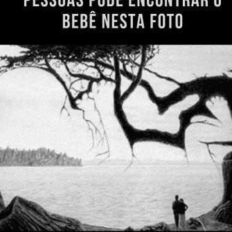 Resposta Apenas 1 Em Cada 20 Pessoas Pode Encontrar o Bebê Nesta Foto