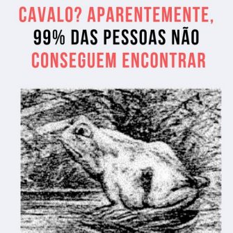 Resposta: Ache o Cavalo?