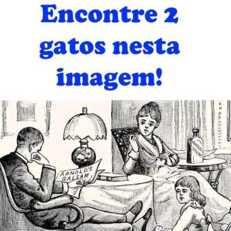 Resposta encontre 2 gatos na imagem