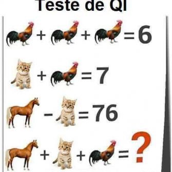 Resposta teste de QI Galo, Cavalo e Gato