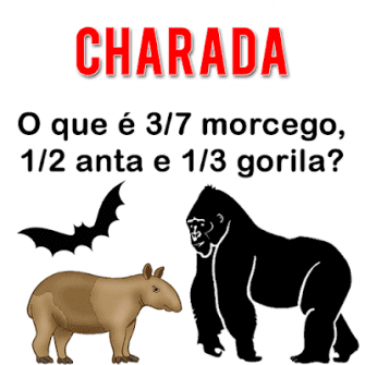 O que é 3/7 morcego
