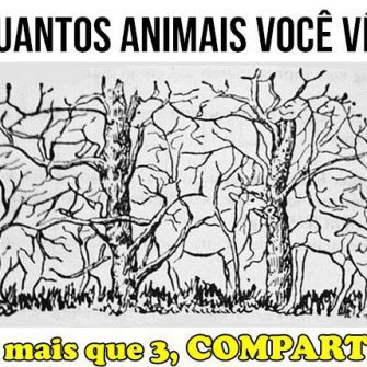 Quantos animais você consegue ver