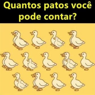 Quantos patos você ve?