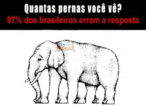 Quantas patas o elefante tem?