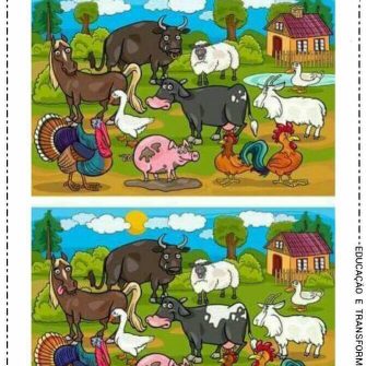 Jogo dos 7 erros Os Animais