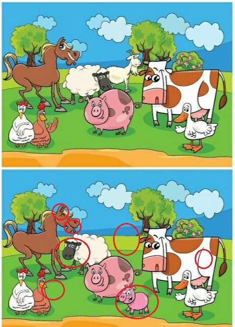 Jogo dos 7 erros os animais na fazenda resposta