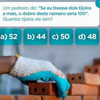 Se eu tivesse dois tijolos a mais