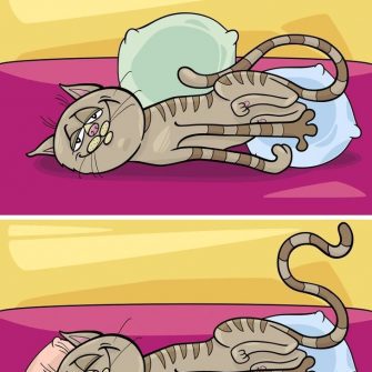 Jogo dos 7 erros O Gatinho Preguiçoso