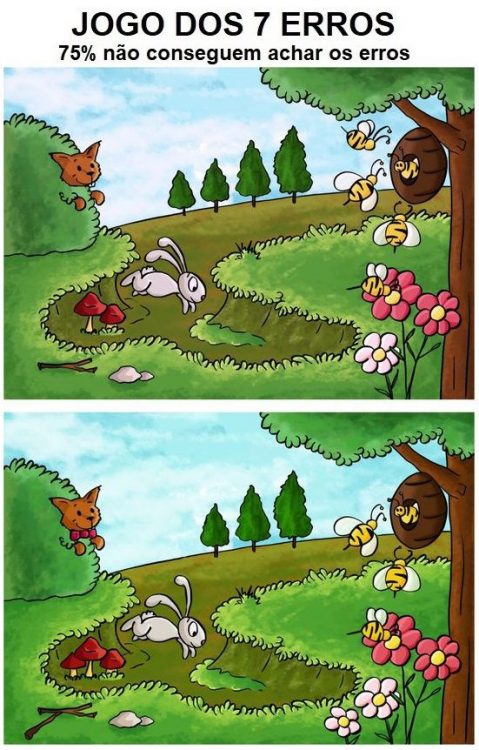 Jogo dos 7 erros: Os Coelhinhos - Gênio Quiz: Jogos, Testes e Quizzes ...