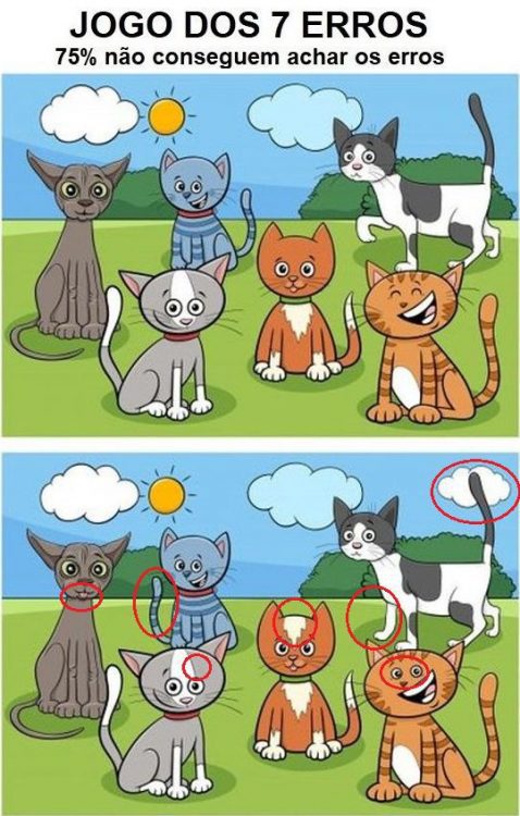 Jogo dos 7 erros: Os Gatinhos - Gênio Quiz: Jogos, Testes e Quizzes ...