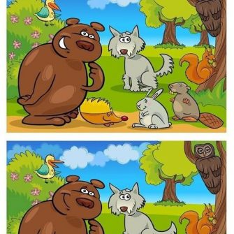 Jogo dos 7 erros: Os Amigos da Floresta