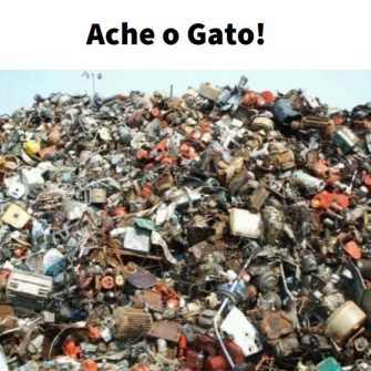 Ache o Gato no Entulho