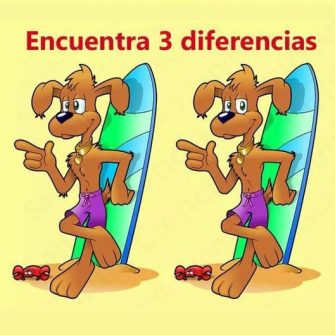Encontre 3 Diferenças: O Cachorro Surfista