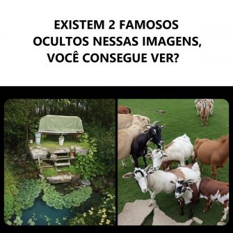Quem são os famosos ocultos nessas imagens?
