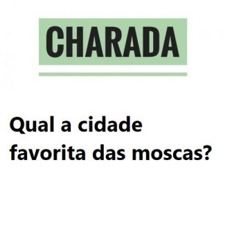 Qual a cidade favorita das moscas