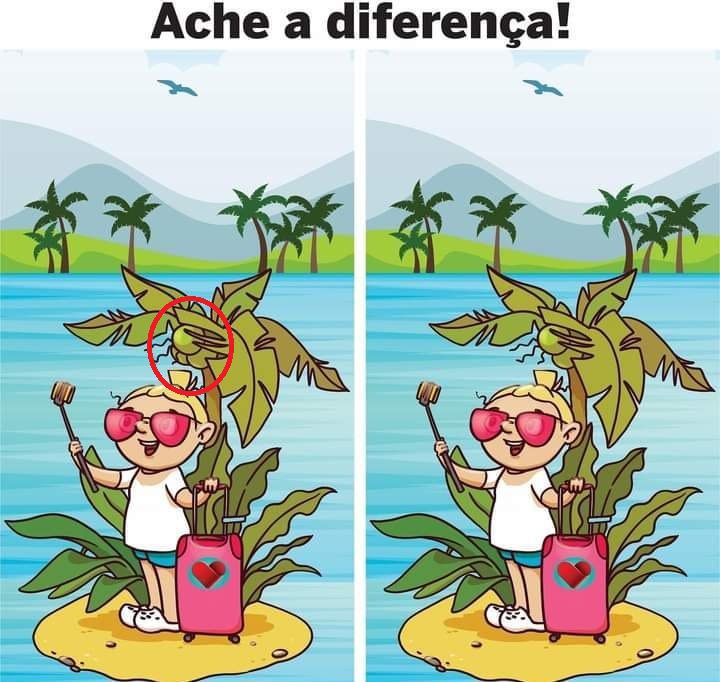 Ache a Diferença: A Turista Resposta Ache a Diferença: A Turista