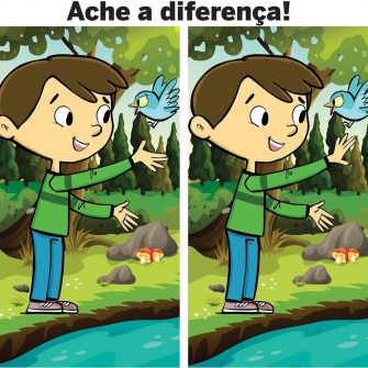 Ache a Diferença: O Menino e o Pássaro Azul