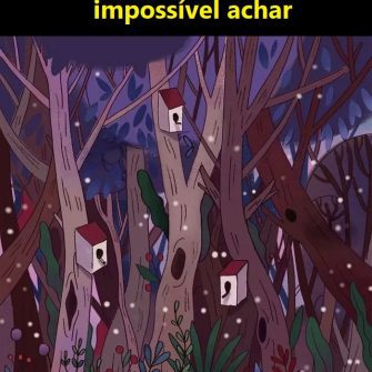 Ache a Coruja, é quase impossível achar