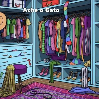 Ache o Gato no Armario capa
