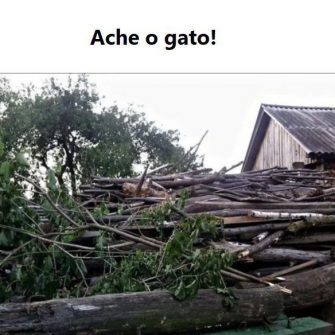 Ache o Gato: Os Galhos