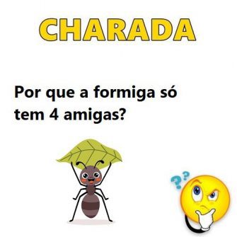 Por que a formiga só tem 4 amigas?