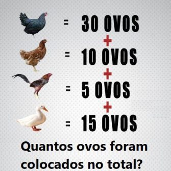 Quantos ovos foram colocados no total