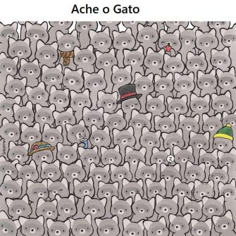 Ache o gato no meio dos guaxinins, a maioria não consegue