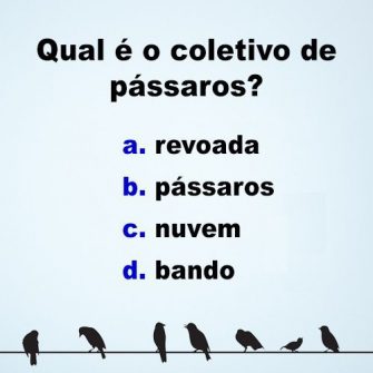 Qual é o coletivo de pássaros?
