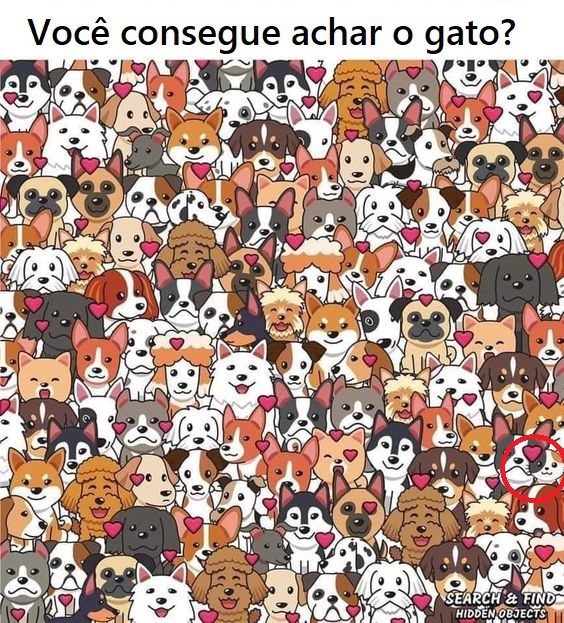 Você consegue achar o gato? Resposta Você consegue achar o gato
