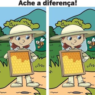 Ache a Diferenca A Apicultora