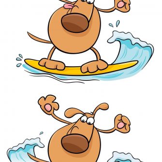 Ache as Diferenças: O Cachorro Surfista