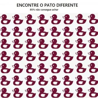 Encontre o Patinho Diferente