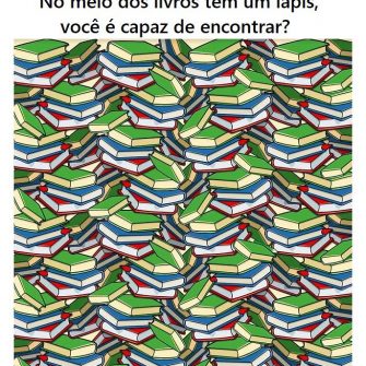 Encontre o lapis no meio dos livros