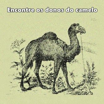 Ache os donos do camelo escondidos na imagem