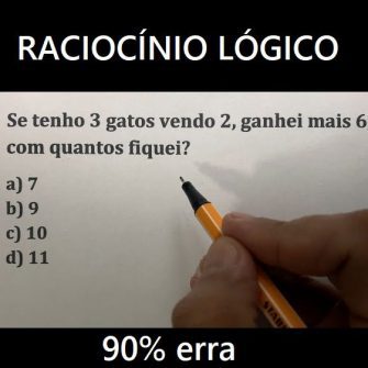 Se tenho 3 gatos vendo 2, ganhei mais 6, com quantos fiquei: