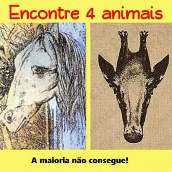 Encontre os 4 animais