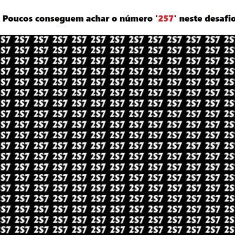 Poucos conseguem achar o número 257 neste desafio