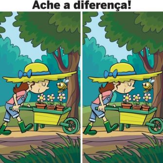 Ache a Diferença: A Florista