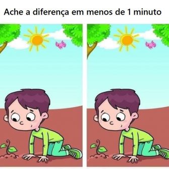 Ache a diferença em menos de 1 minuto: O Menino e a Plantinha