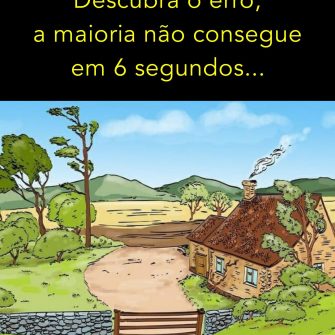 Descubra o Erro – A casa no Campo
