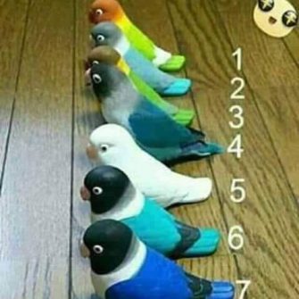 Qual deles é o de verdade? A maioria não consegue acertar