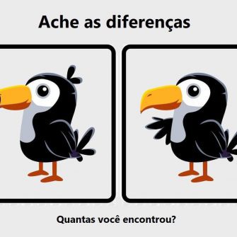 Ache as Diferenças: O Tucano