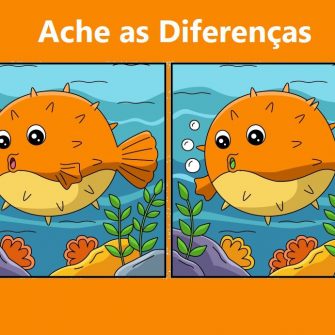 Ache as Diferenças: O Baiacu
