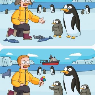 Ache as Diferenças: Os Pinguins