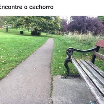 Encontre o cachorro, a maioria não consegue