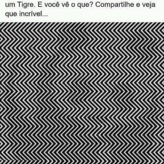 Qual é o animal oculto nesta imagem, você consegue ver?