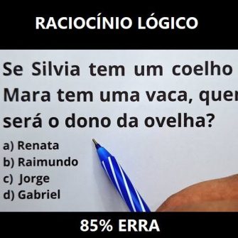 Se Silvia tem um coelho e Mara tem uma vaca, quem será o dono da ovelha?